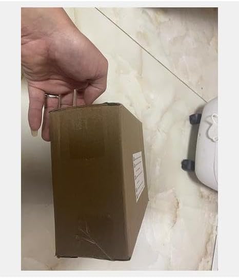 ☆坂本直行☆「 しらねあおい（庭の桜満開の日に）」ペン画！ ☆坂本